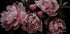 Romantic Dream Opulent Flowers - Posterbox