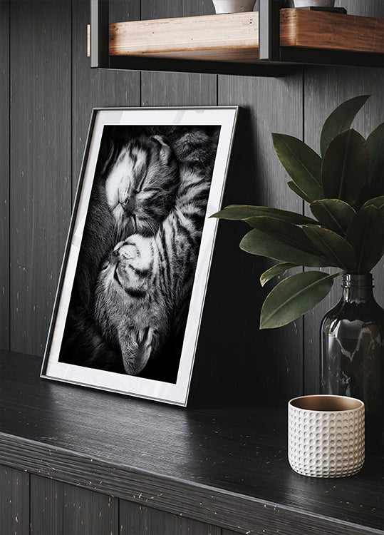 Yin and Yang - Posterbox