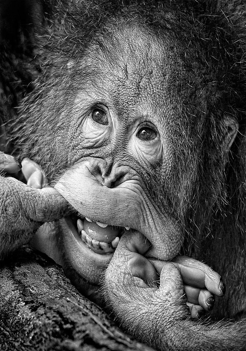 Big Smile.....please Plakat - Posterbox