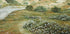 Path of Flowers Plakat - Posterbox
