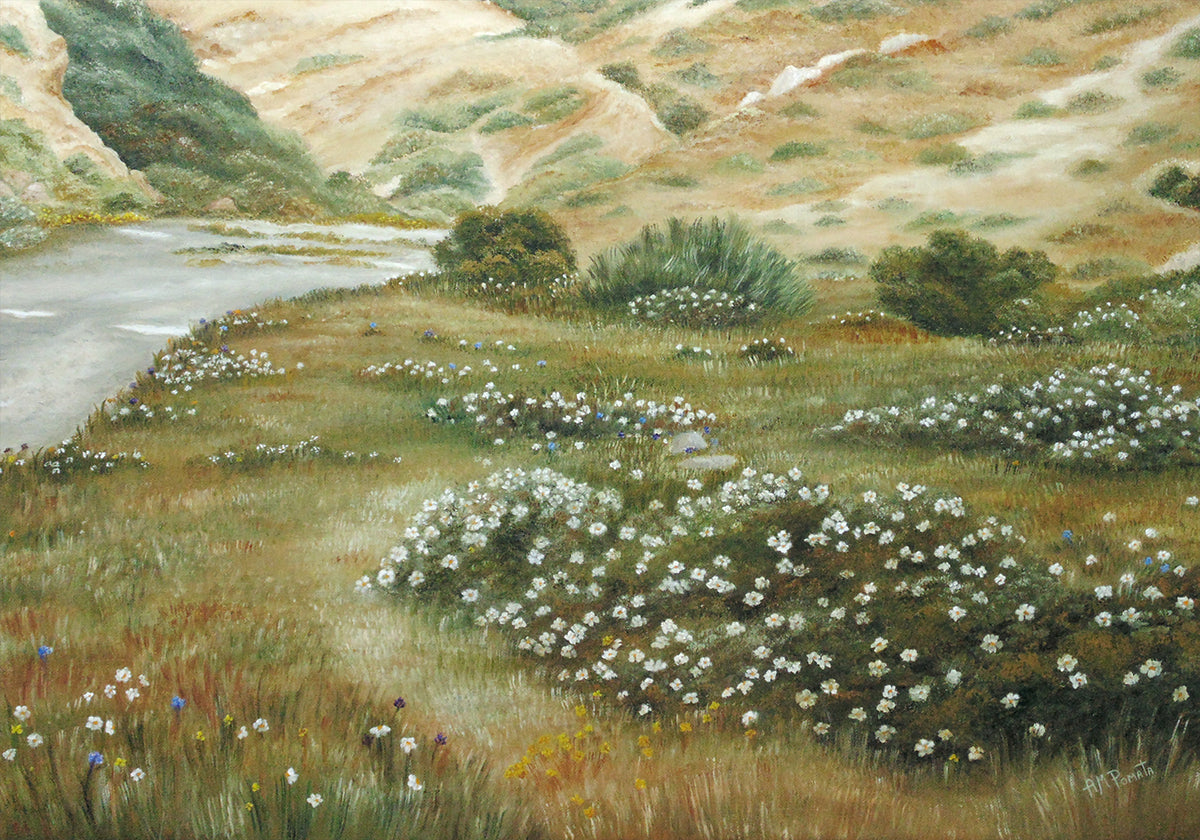 Path of Flowers Plakat - Posterbox