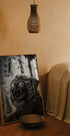 Angry Tiger Plakat - Posterbox.dk