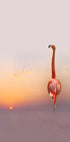 sunset ... - Posterbox