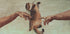 Touch of the Kitty Plakat - Posterbox