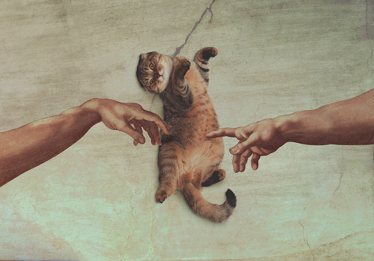 Touch of the Kitty Plakat - Posterbox