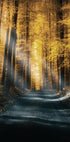 Autumn Forest Plakat - Posterbox.dk