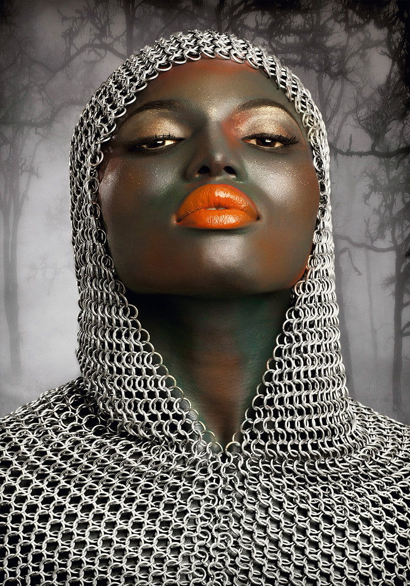 The Warrior - Posterbox