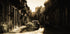 Mystic morning in Havana... - Posterbox