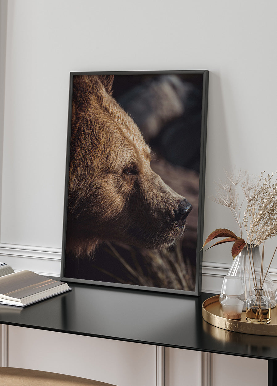 Bear in Profile Plakat - Posterbox.dk