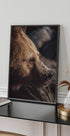 Bear in Profile Plakat - Posterbox.dk