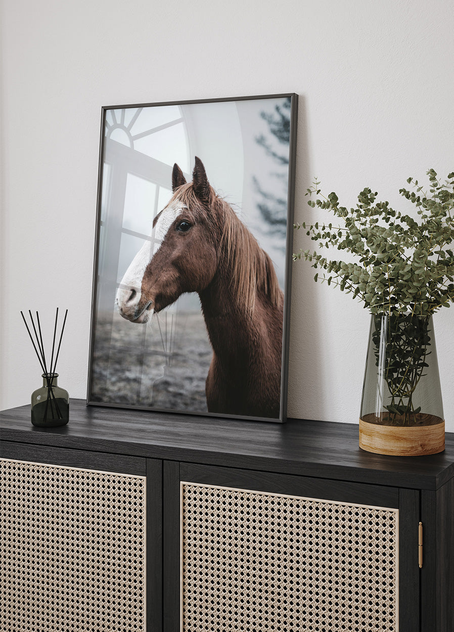 Brown Horse Plakat - Posterbox.dk