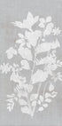Botanical Illustration 2 Plakat - Posterbox