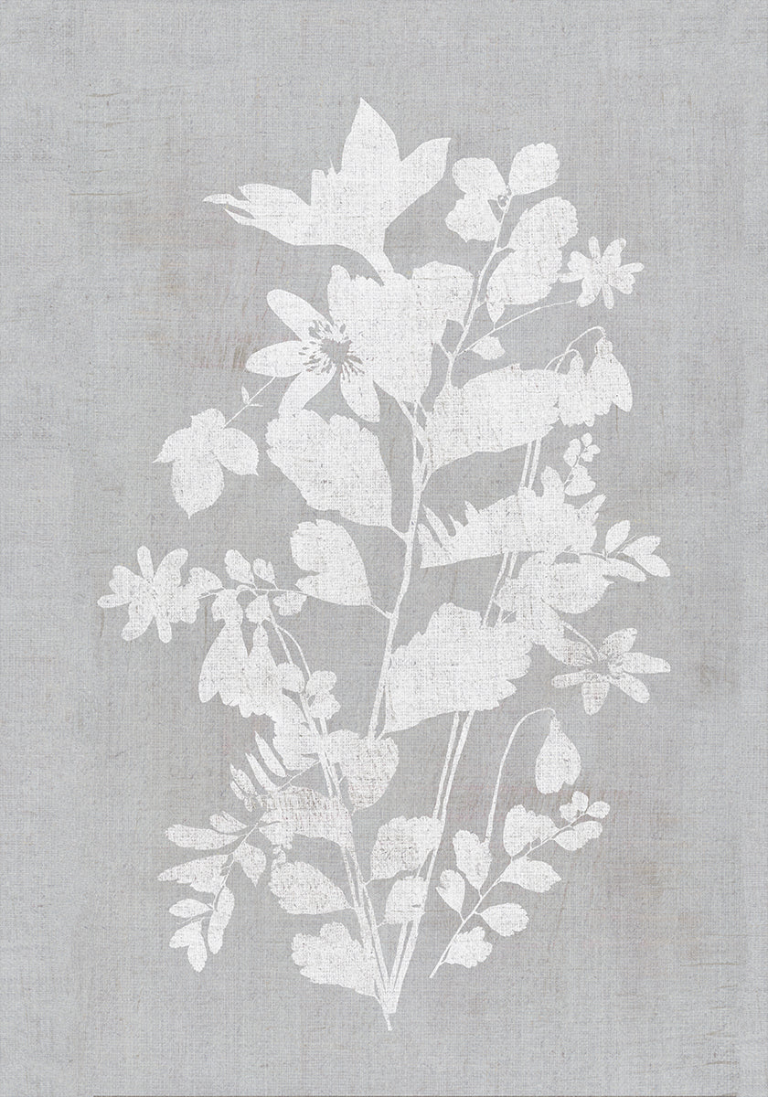 Botanical Illustration 2 Plakat - Posterbox