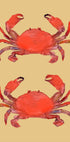 Crab 2 Plakat - Posterbox