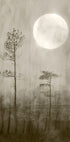 Moonlight Moor Plakat - Posterbox