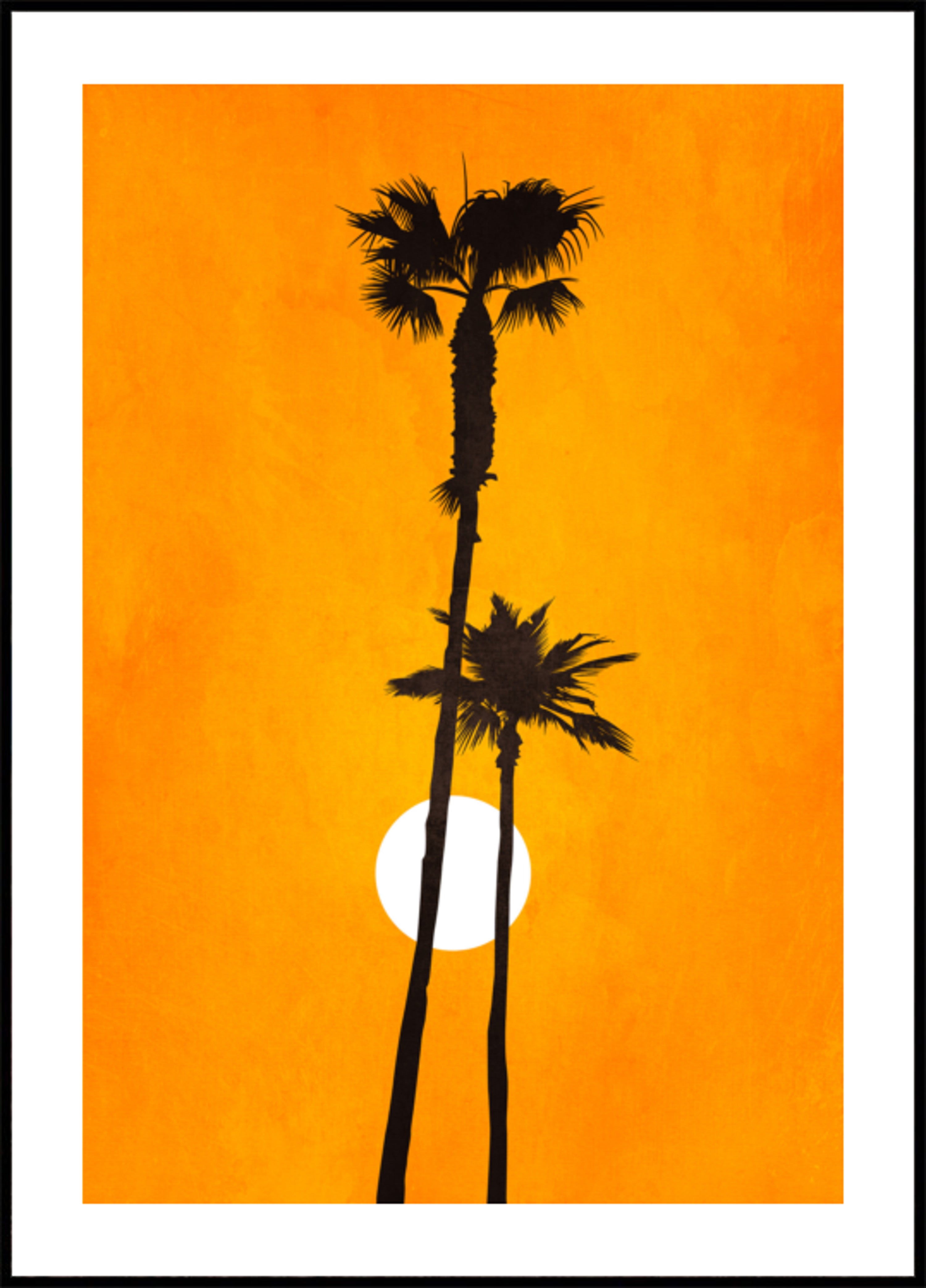 Sunshine Paradise