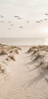 Peaceful Sandy Path - Posterbox