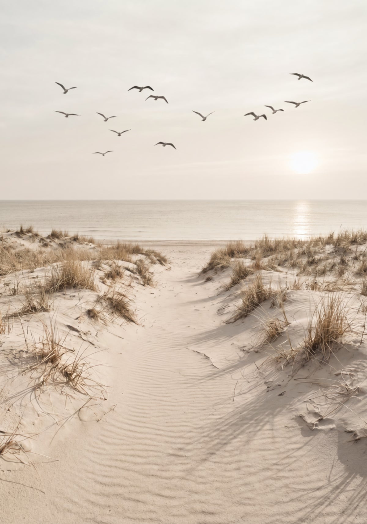 Peaceful Sandy Path - Posterbox