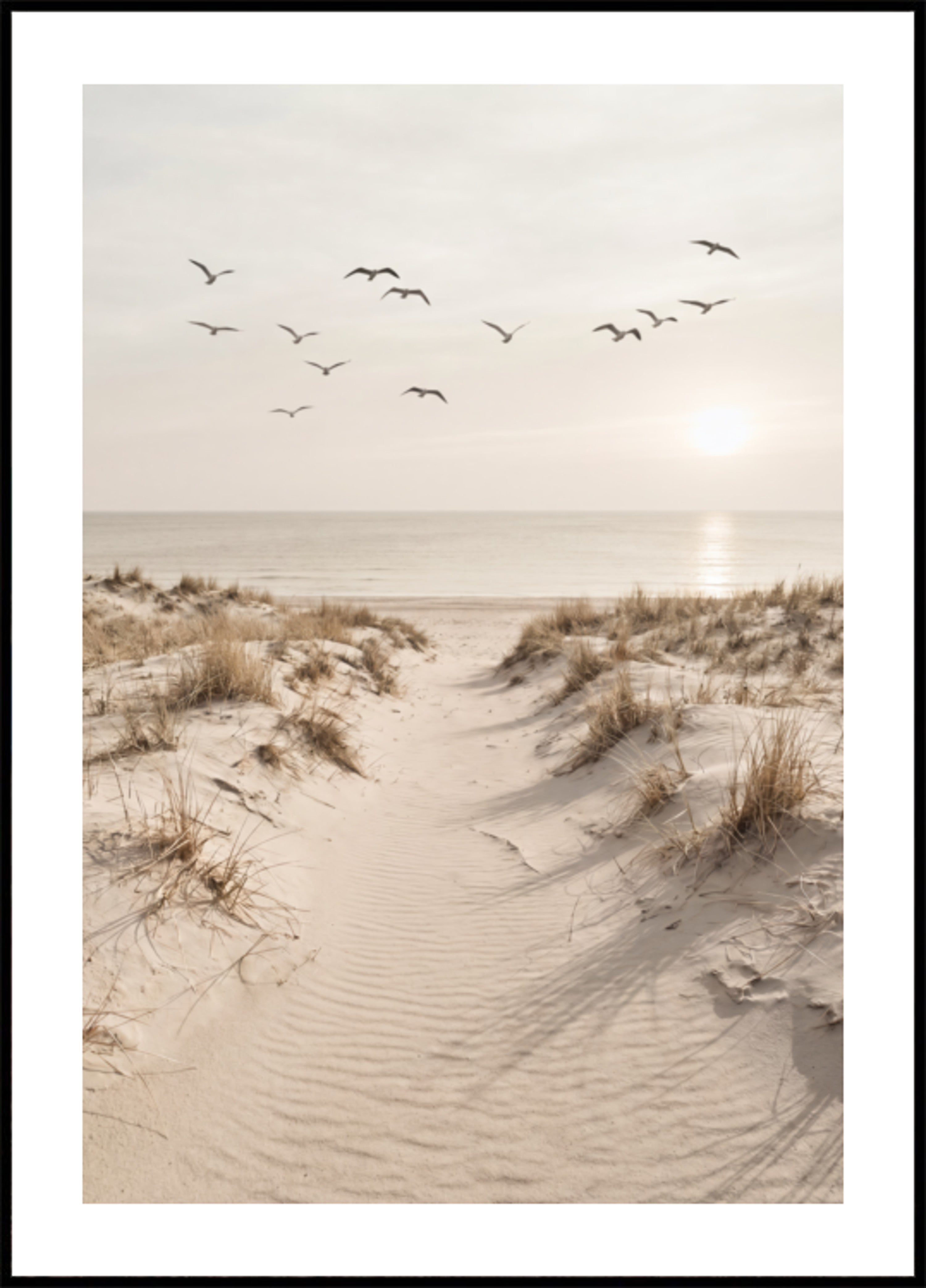 Peaceful Sandy Path