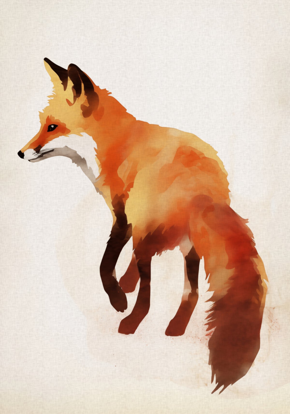 Red Fox Illustration - Posterbox