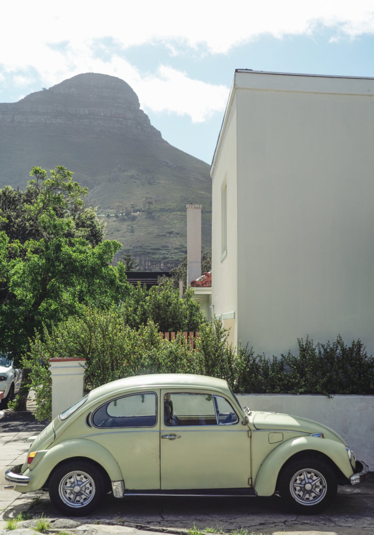 Cape Town Beetle Mountain - Posterbox