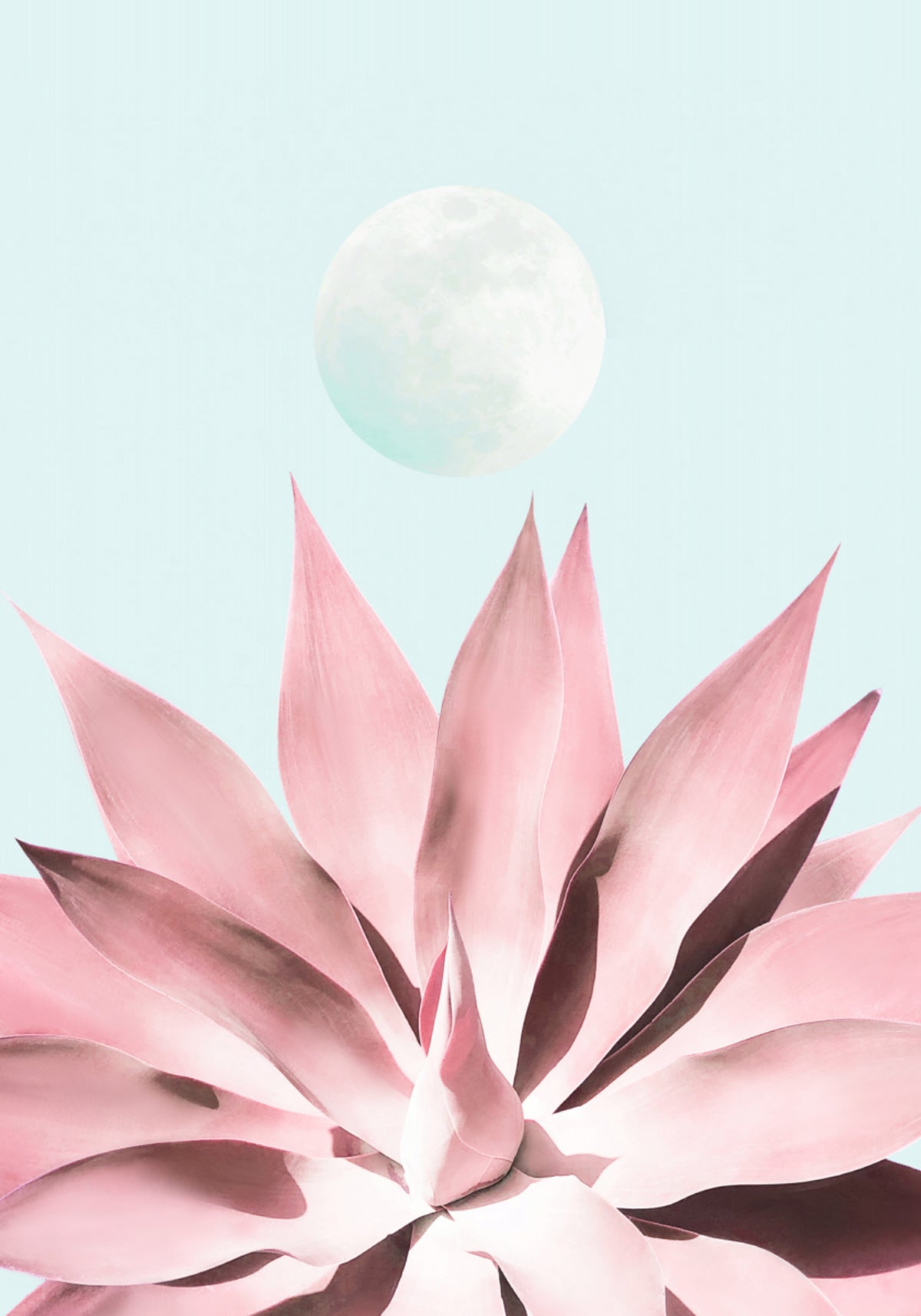 Pink Succulent Moon - Posterbox