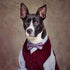 Dapper Dog In Vest - Posterbox