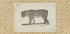 Vintage Leopard Sketch - Posterbox
