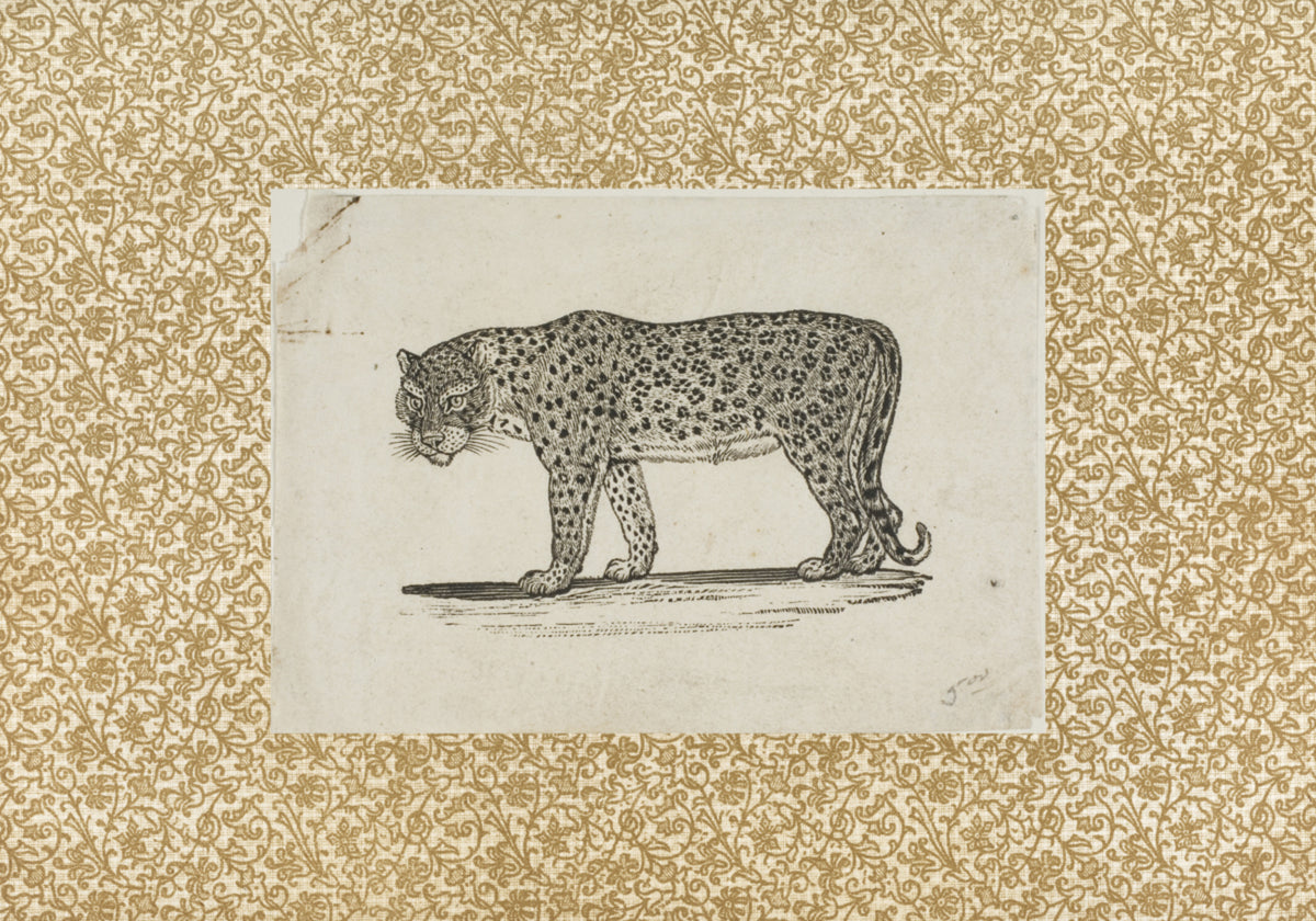 Vintage Leopard Sketch - Posterbox