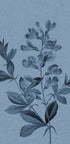 Elegant Blue Botanical - Posterbox