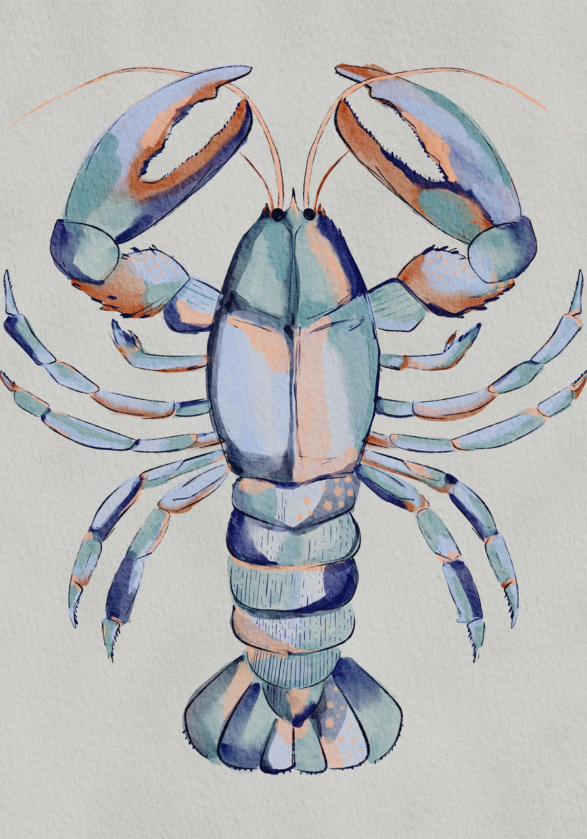 Watercolor Blue Lobster - Posterbox