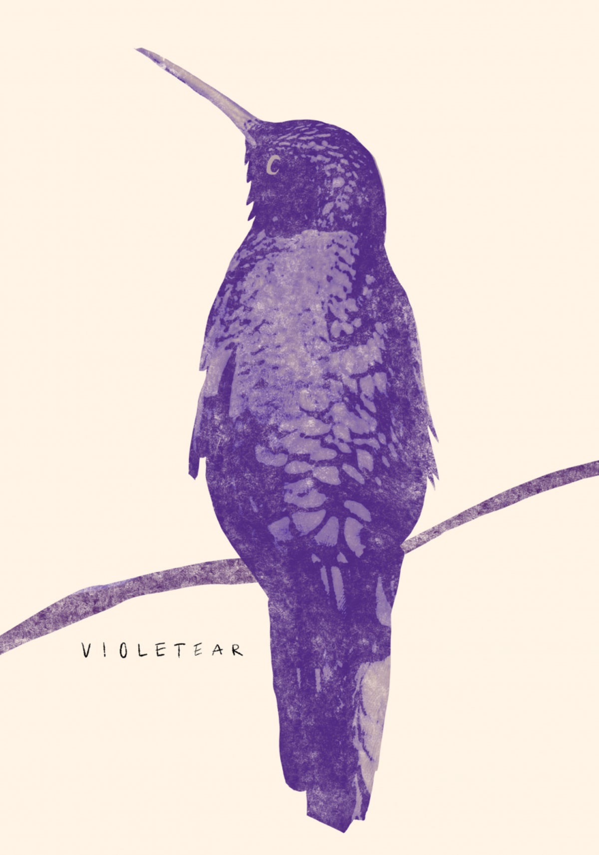 Elegant Violet Hummingbird - Posterbox