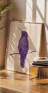 Elegant Violet Hummingbird - Posterbox
