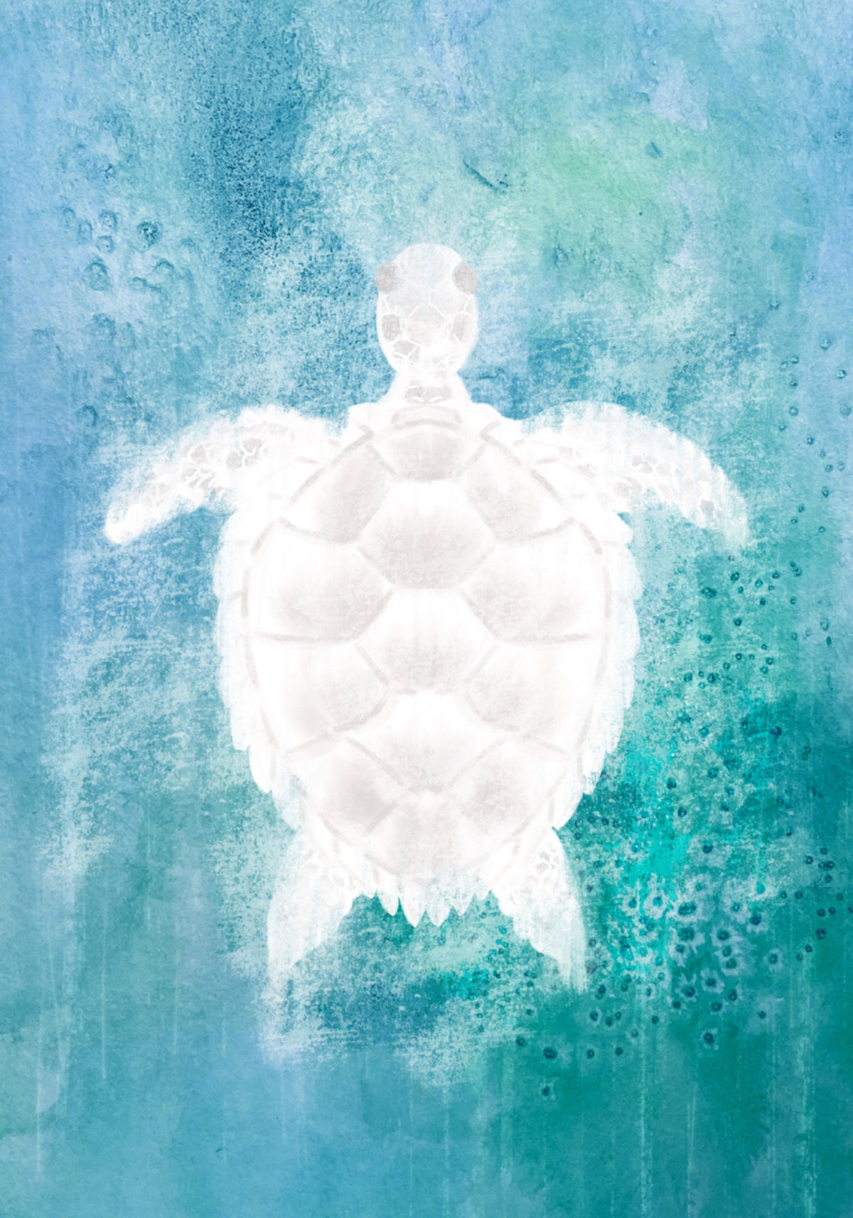 Serene Sea Turtle - Posterbox