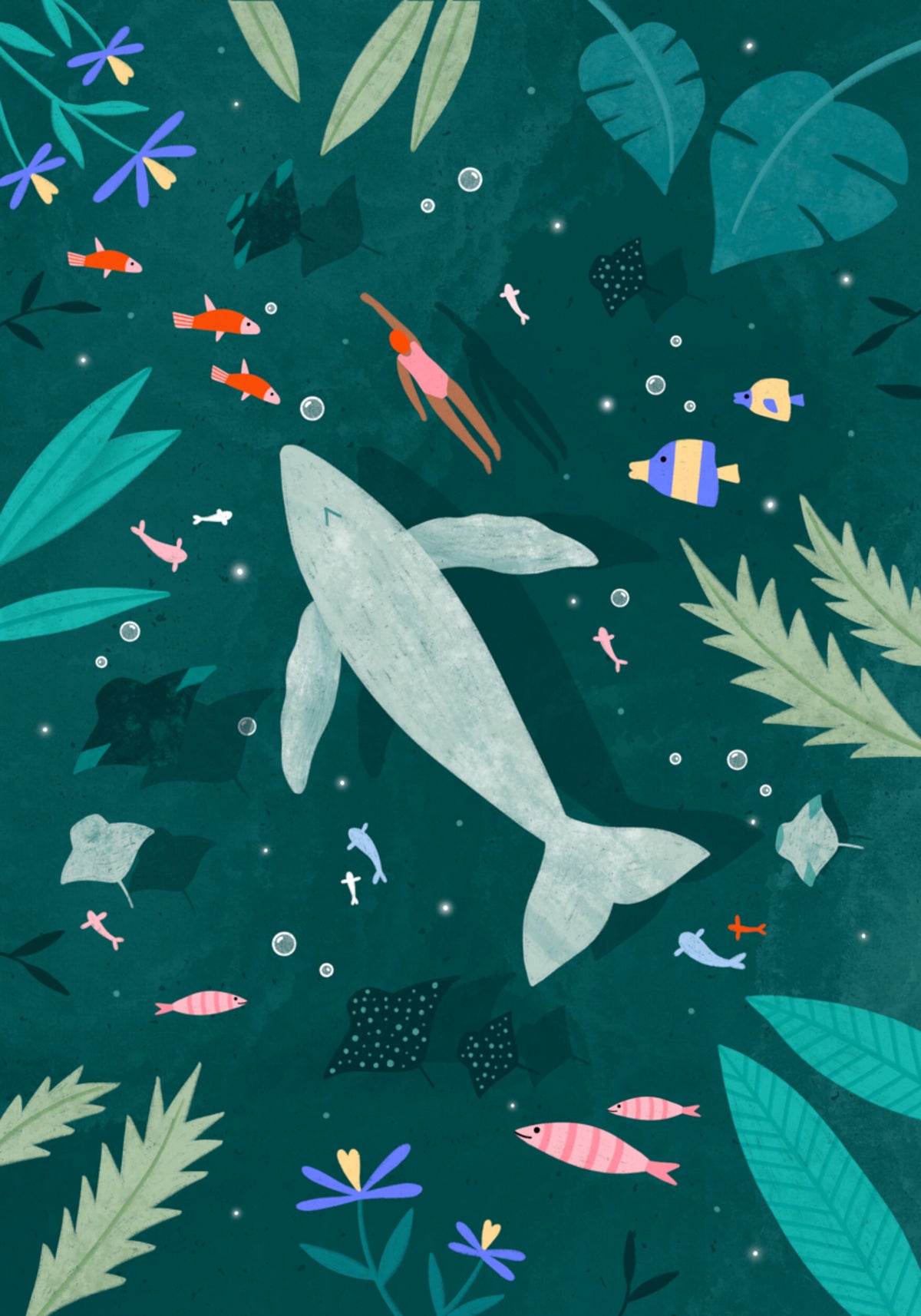Peaceful Ocean Encounter - Posterbox
