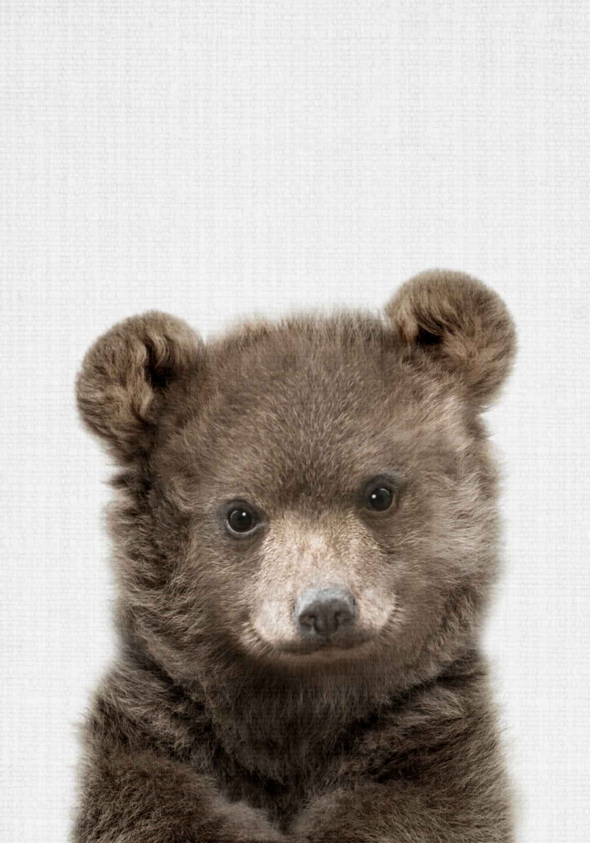 Cute Bear Cub