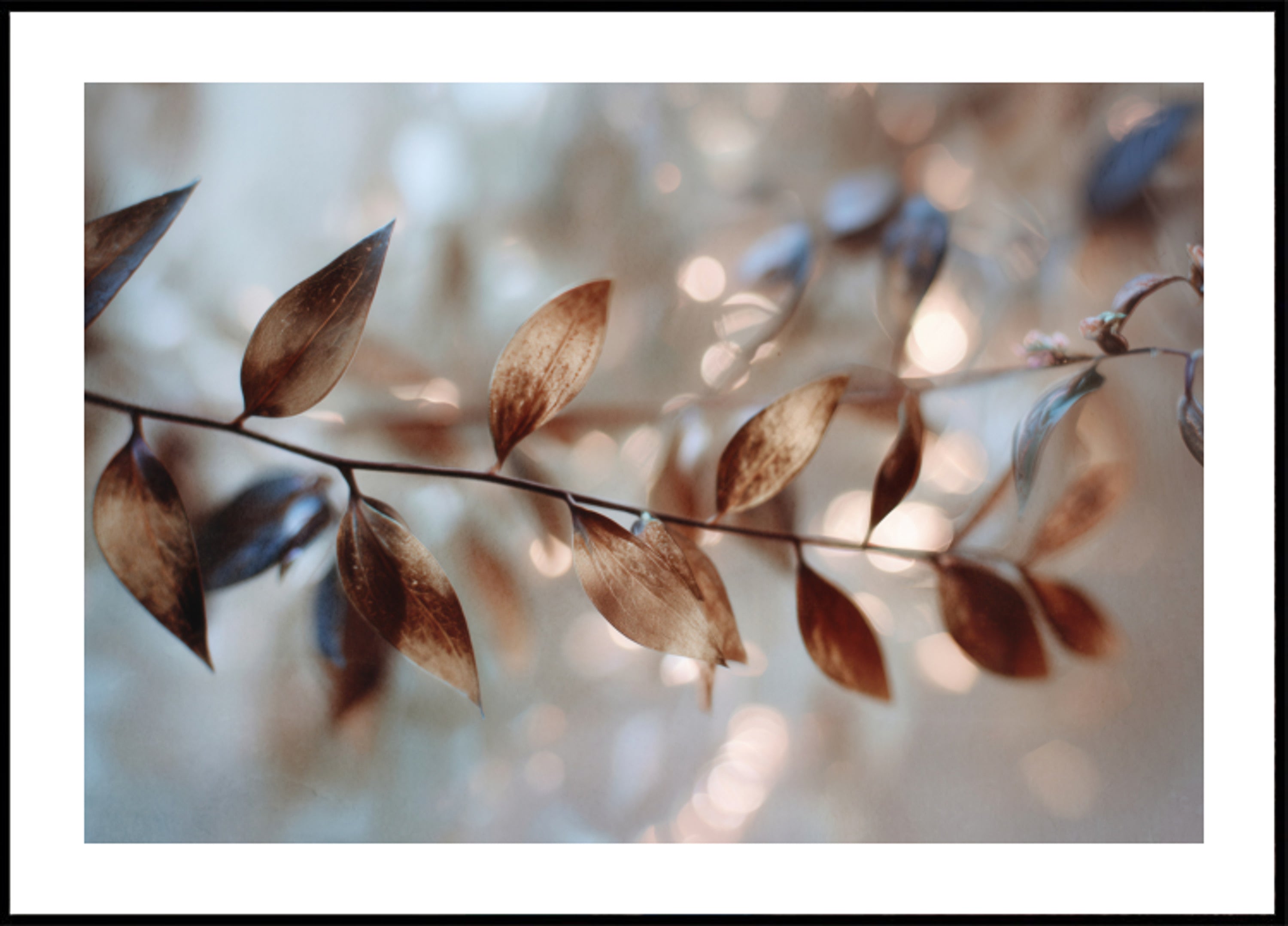 Delicate Bokeh Leaves