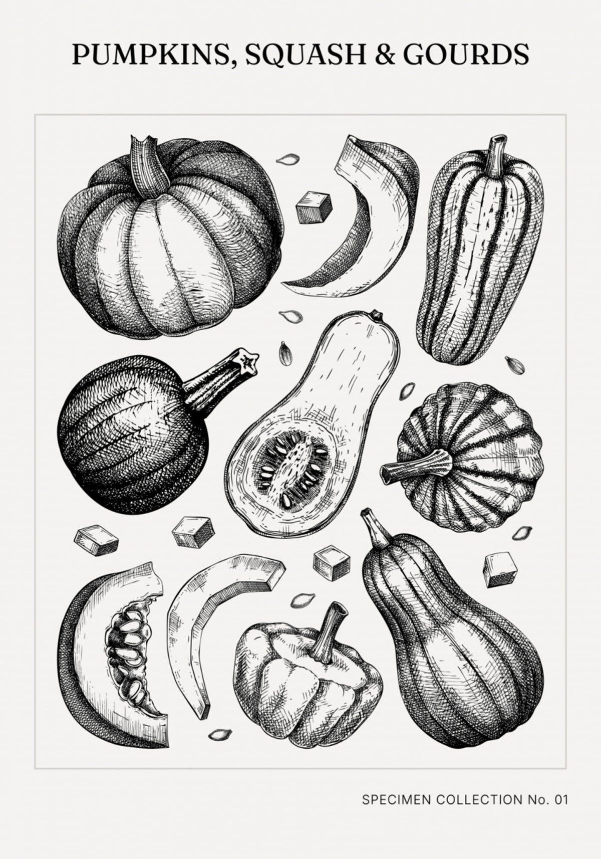 Vintage Botanical Pumpkins