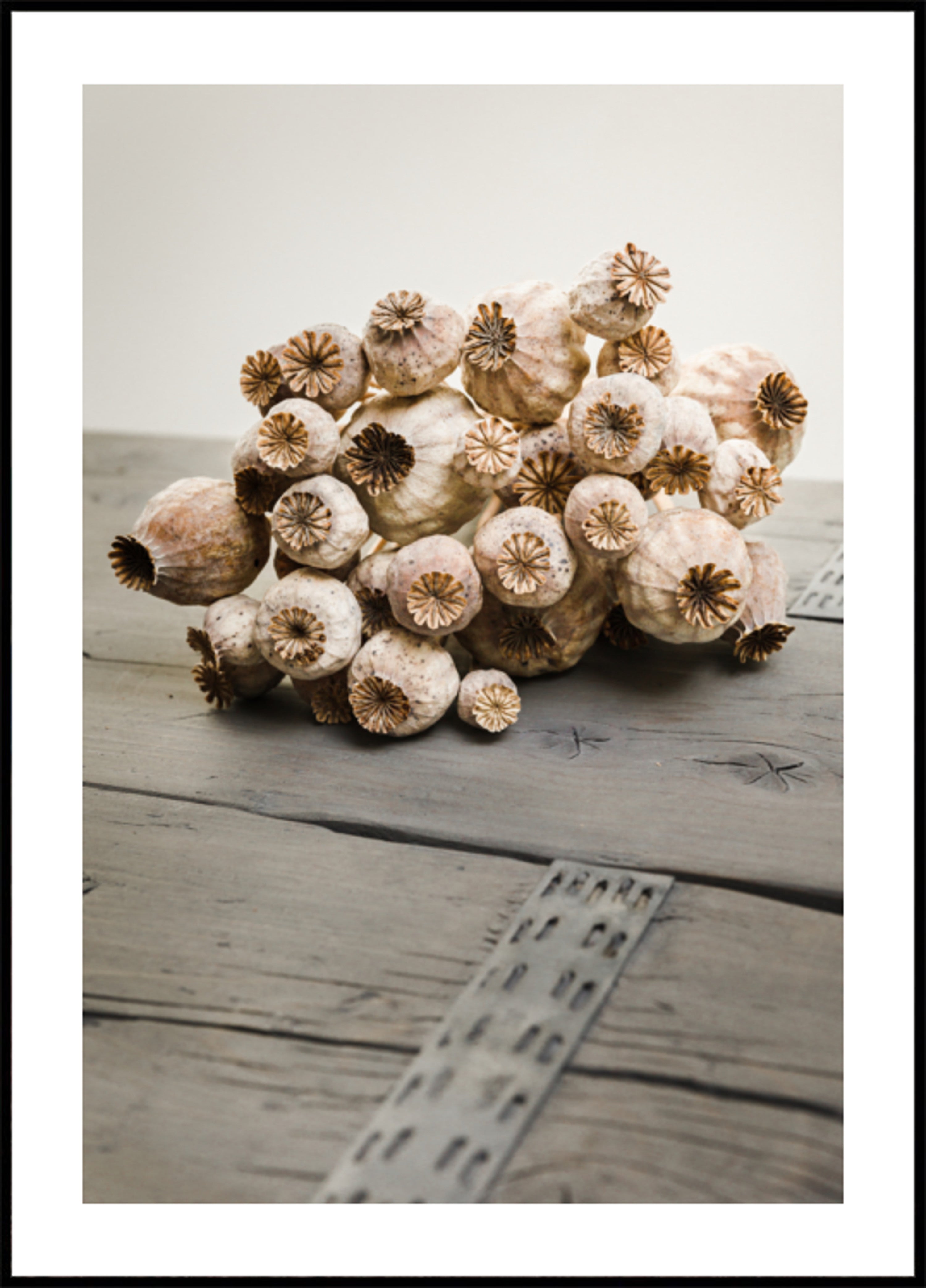 Rustic Poppy Pods