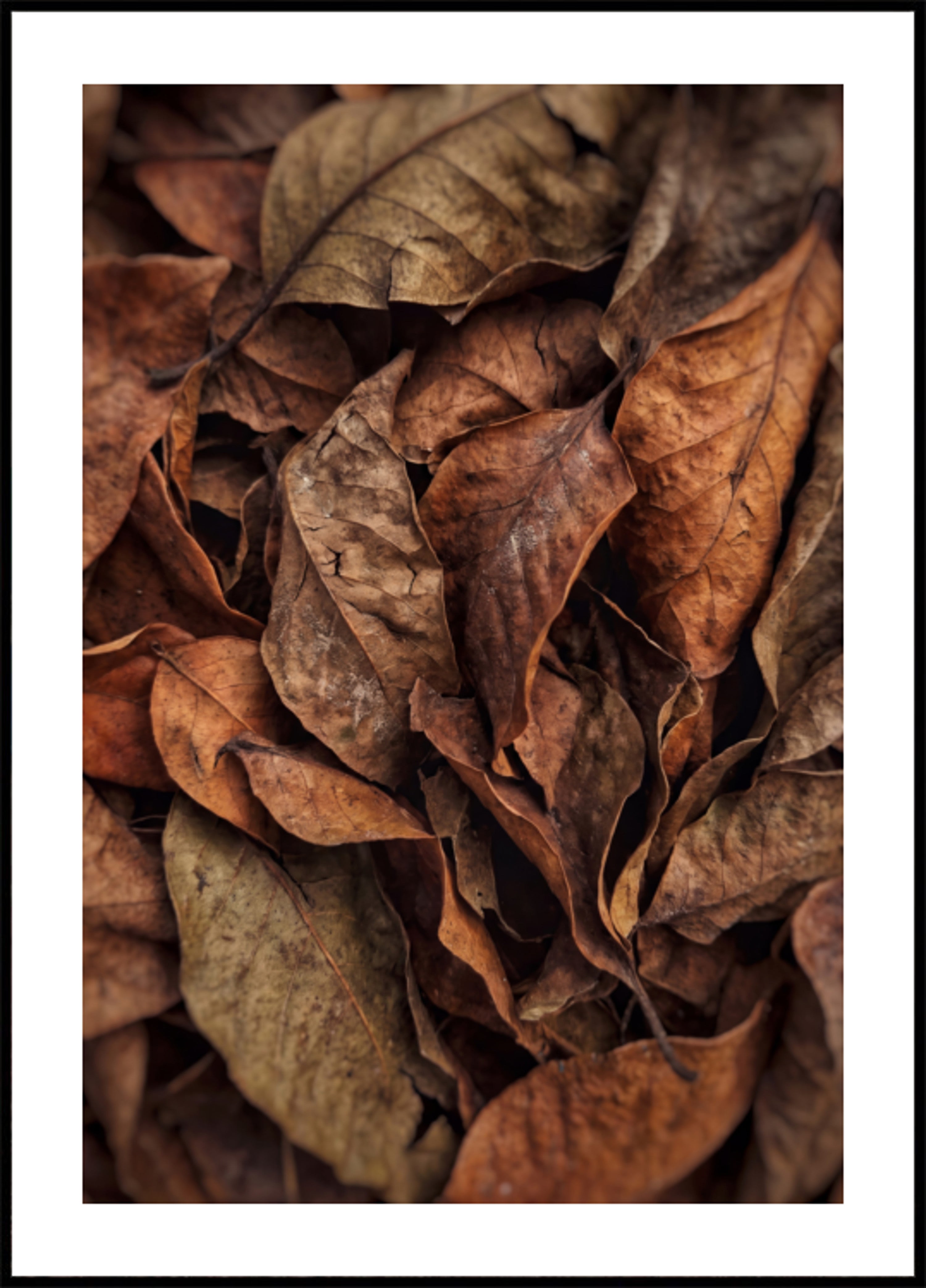 Textured Autumn Leaves