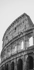 The Colosseum Plakat - Posterbox.dk