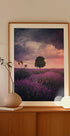 Lavender Fields, Isparta Plakat - Posterbox