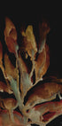 Night Plant Plakat - Posterbox
