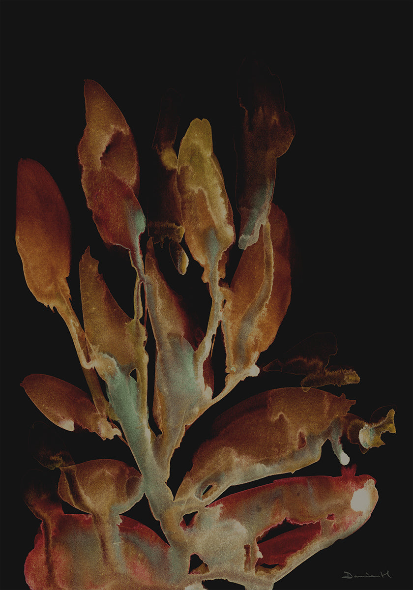 Night Plant Plakat - Posterbox