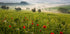 Tuscan spring Plakat - Posterbox