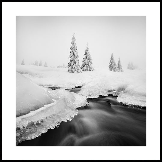 Ice creek... Plakater - Posterbox