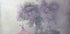 Sweet Lilacs - Posterbox