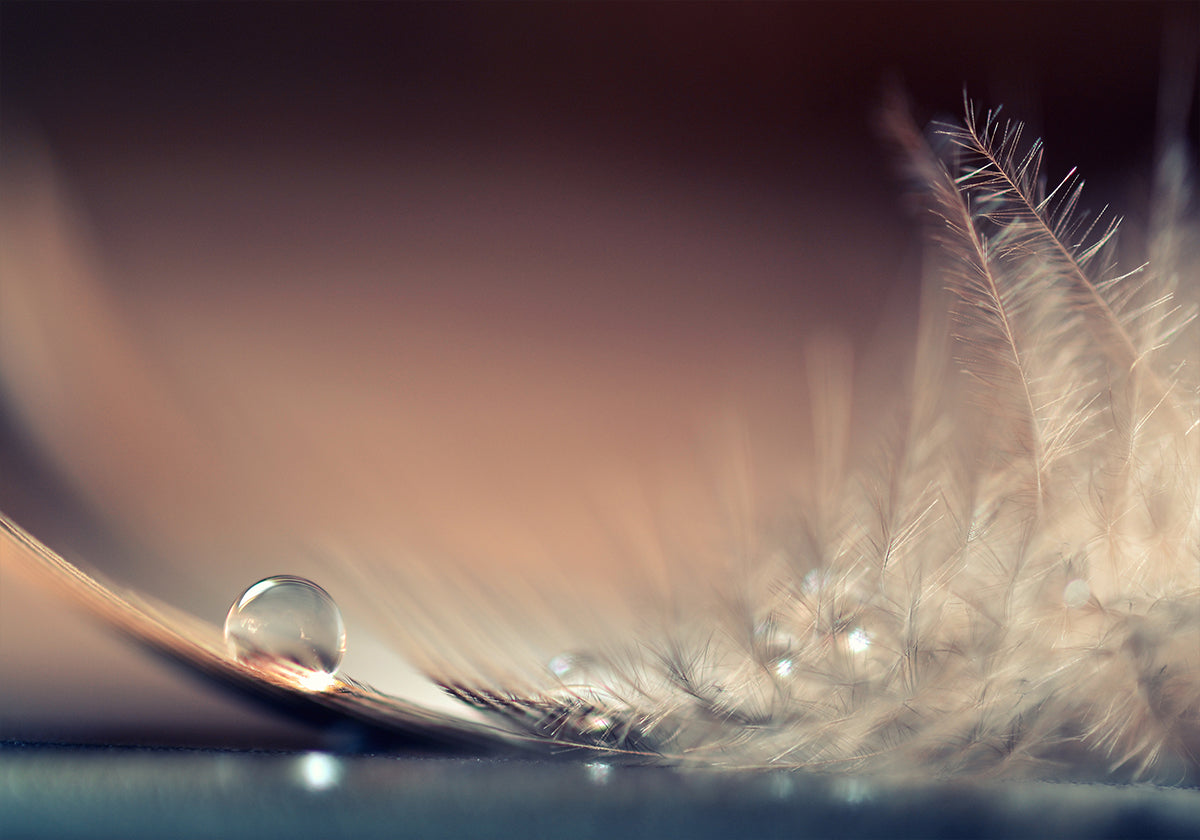 Stories of Drops - Posterbox