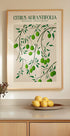Botanical Lime Bliss Plakat - Posterbox