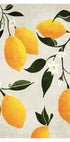 Citrus Symphony Plakat - Posterbox